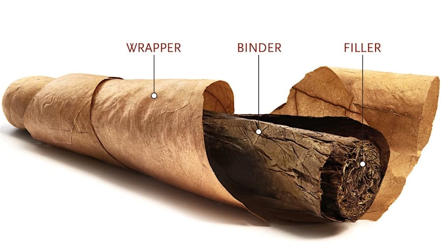 Cigar Anatomy Diagram